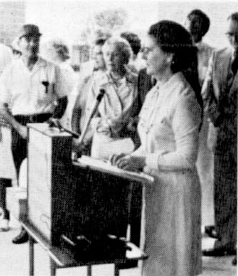 Person speaking at a meeting