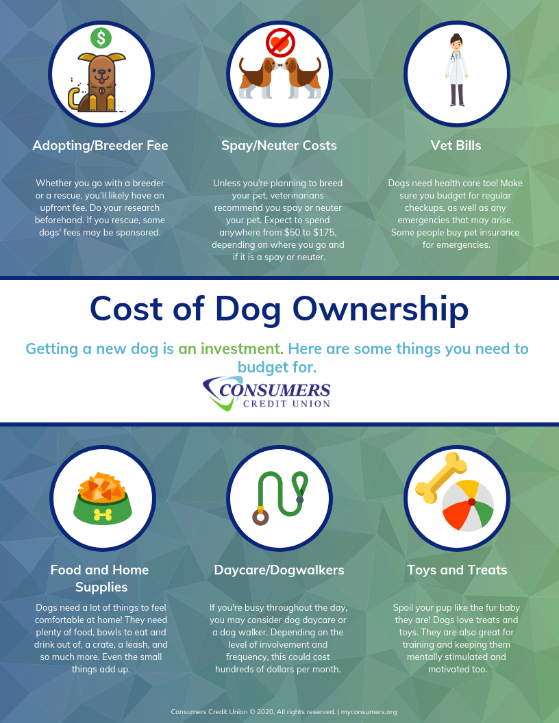 cost of a new pet - consumers credit union