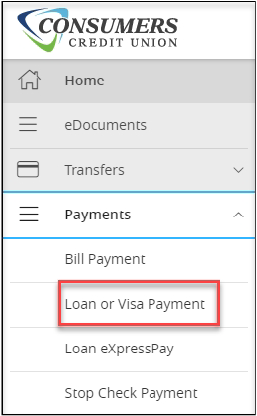 loan and visa payment