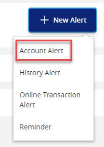Screen capture displays image of button highlighting area to select new account alert