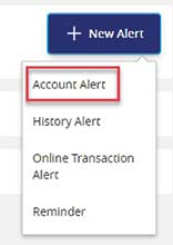 New-Alert-Account-Alert